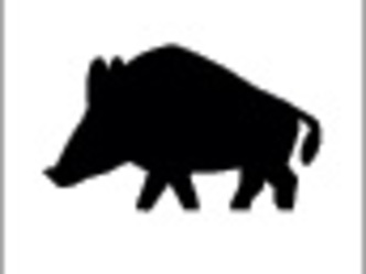 Wanderweg Keiler Klingenberg Churfranken