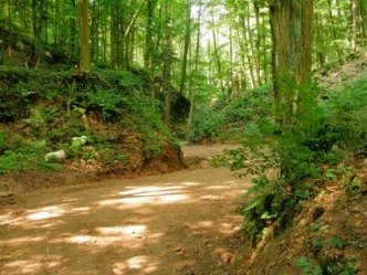 Hohberggraben Erlenbach