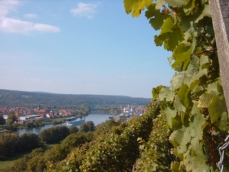 Blick auf die Erlenbacher Weinberge