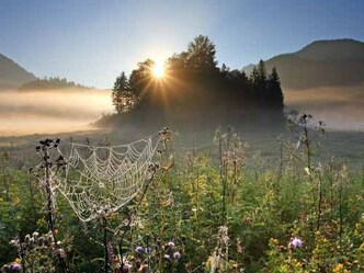 Morgenstimmung am Weitsee