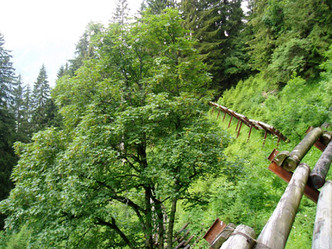 Aufforstung