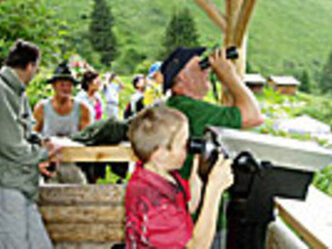 Wildtierbeobachtungsstand Fallerschein