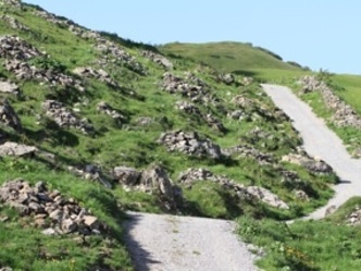 19 Steiniger Bühel