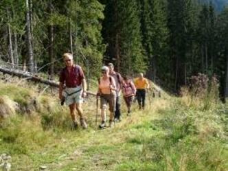 Wanderweg zur Baumgartenalm