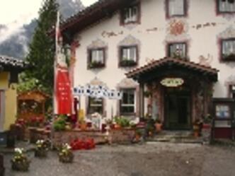 Grüner Baum