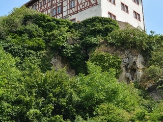 Schloss Homburg