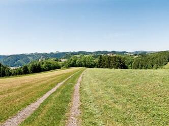 Panorama Falkenberg