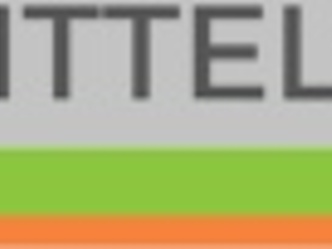 Logo Neue Mittelschule Molln