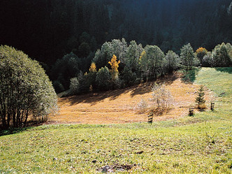 Schwefelquelle