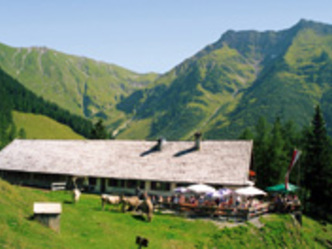 Almwirtschaft Stablalm