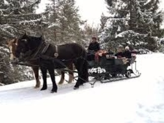Pferdeschlittenfahrten Pähl