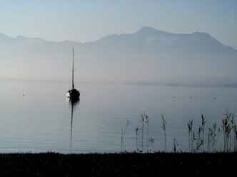 Blick vom Haus auf den See