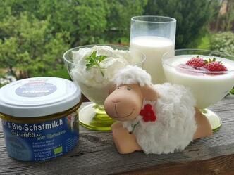 Bio Schafmilchprodukte