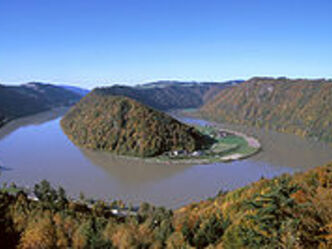 220px-donauschlinge_schloegen-1-2