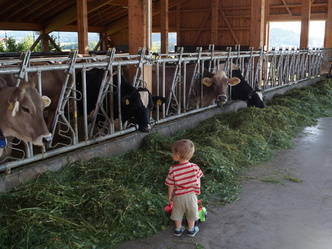 Bei uns werden Ihre Kinder schnell zum Landwirt