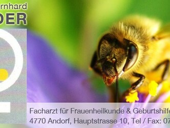 Dr.Sageder-BannerInternet