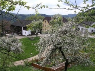 Moststation Kleinleitner