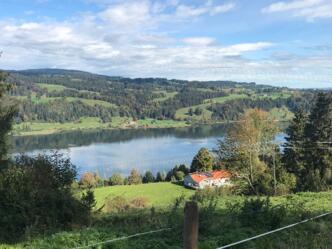 Blick auf den großen Alpsee