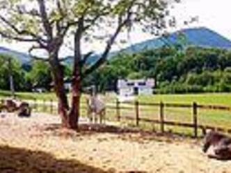 Reitschule Hinterreit