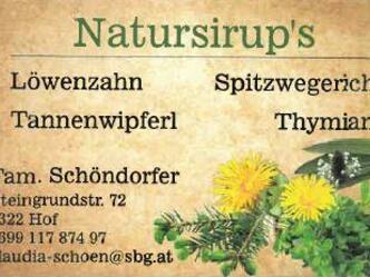 Vistenkarte C. Schöndorfer