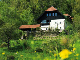 Restaurant Scherleiten