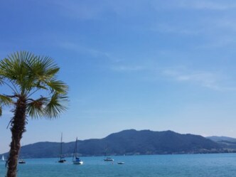 Geniessen am Attersee