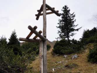 Der Lawinenbockbaum