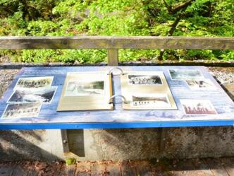 Station 6: Die Holztrift