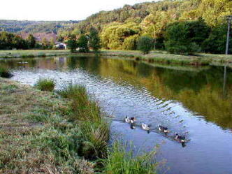Kurparksee