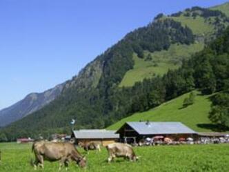Sennalpe Oberau