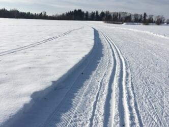 Verbindungsloipe Grünenbach