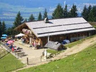 Zillalm