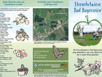 Flyer Streuobstwiese