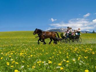 Pferdekutschenfahrt Abtenau