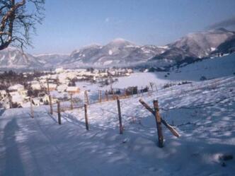 Winterwandern am Panoramaweg Steinbach