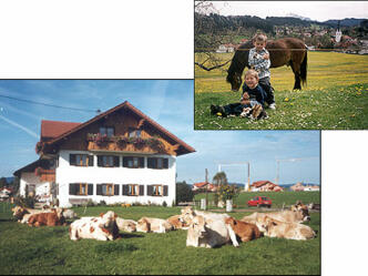 Biohof Barensteiner
