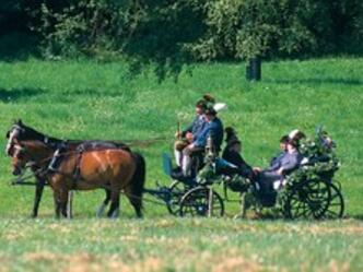 Kutschfahrten Steingaden