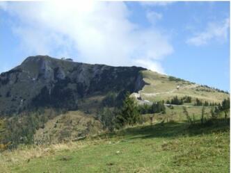 Blick zur Schafbergalm