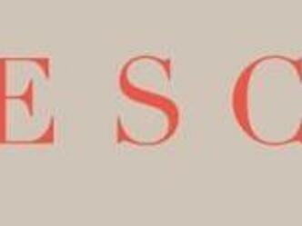 Logo Fesch Damenmode