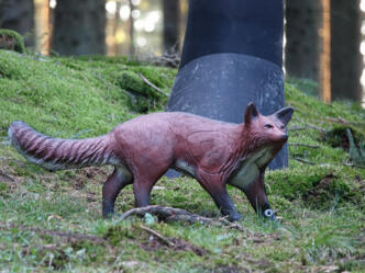 3D-Bogensportparcours