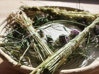 Gasthaus Freudenthaler - Kr\u00e4uterbaecker