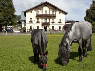 Gasthof Post