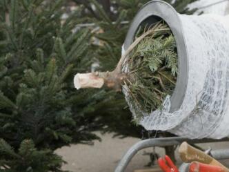 Christbaumverkauf