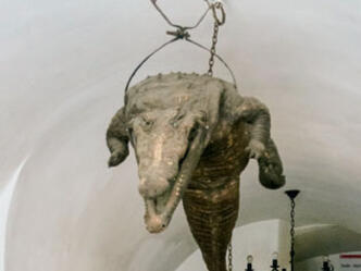 Krokodil in der Pfarrgasse