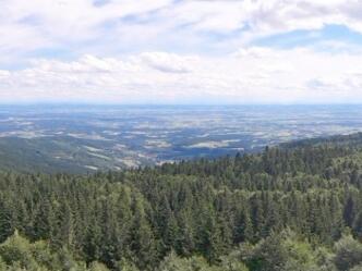 Panorama vom Aussichtsturm