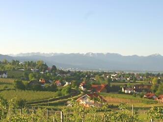src_99044045-0.jpg