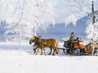Pferdeschlittenfahrt - Schneider Georg