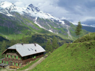 Alpengasthof Trauneralm