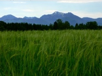 Blick in die Berge