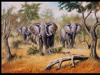 Paul Gasoir - Elefantengruppe